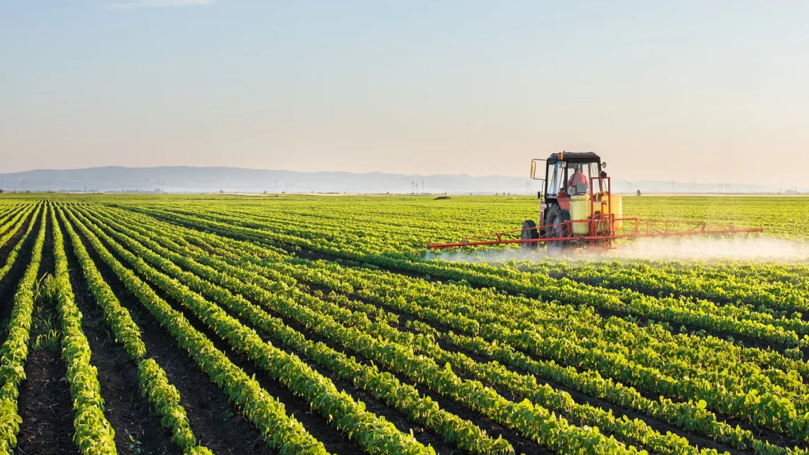 Smart Farming: La Revolución Tecnológica en la Agricultura y Ganadería